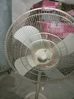good fan best fan all Good