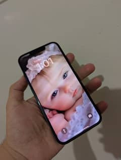iPhone 13 Jv