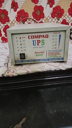 rabta numbr 03016080281 whatsap be bana h ais numbr py