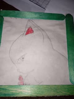 pencil sketch