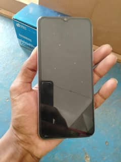 vivo