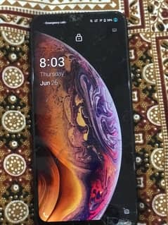 vivo