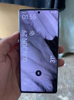 google pixel 7 pro approve