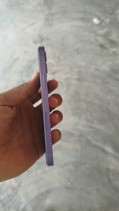 I phone 12 No pata