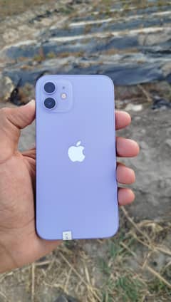 I phone 12 No pata