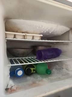 fridge for sale