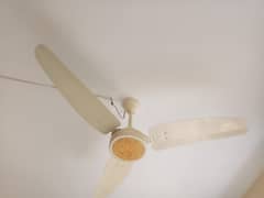 ceiling