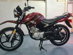 Yamaha
