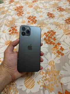 Iphone 12 pro max