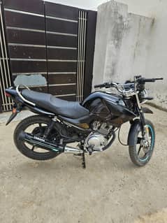 Yamaha