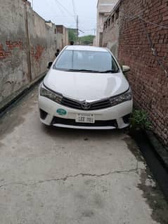 Corolla xli