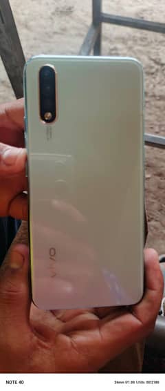 vivo