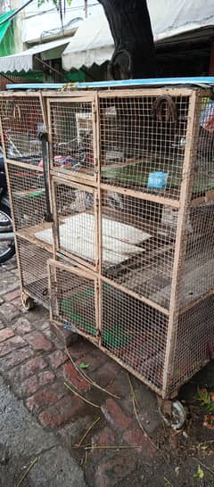Cage