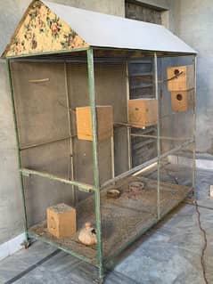 big size birds cage