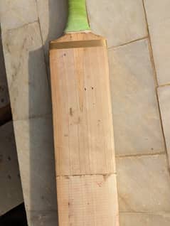 ENGLISH WILLOW Hard ball tat