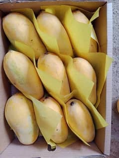 mangos