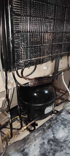 frige