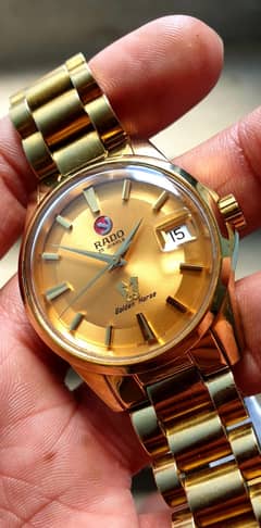 Rado golden horse limited edition