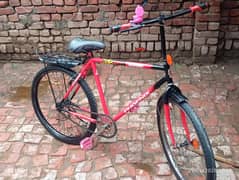cycle