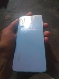 vivo