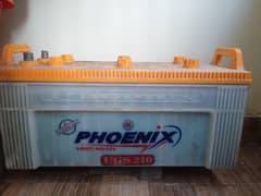 Phoenix