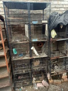 all braids cage sell