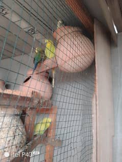 bajre