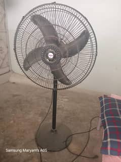 Pedestal Fan