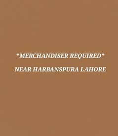Merchandiser/Order booker