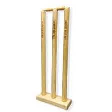BEST Plastic Wicket