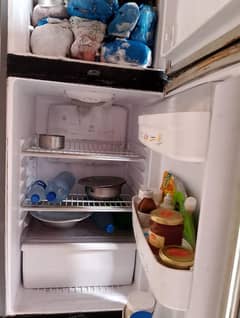 Waves Refrigerator