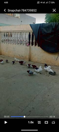 All
