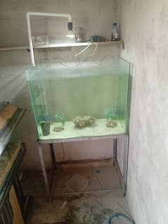 aquarium