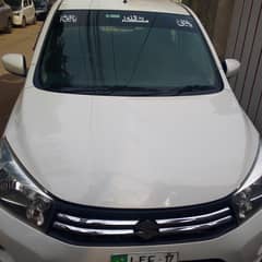 Suzuki cultus