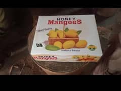 Mango boxes