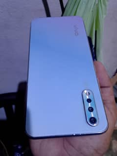 vivo