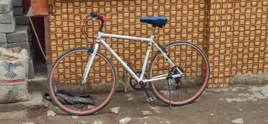 japanese hybrid road cycle