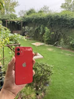 iphone 12 mini