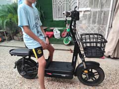Electric Bike
