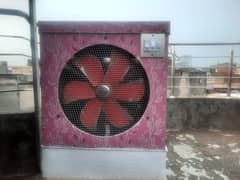 Cooler