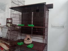 BIRD CAGE