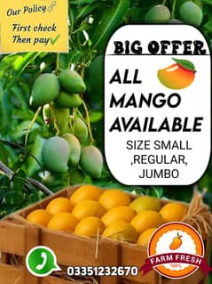 Sweet mango