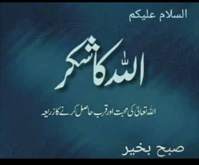 I need a job 03122505937