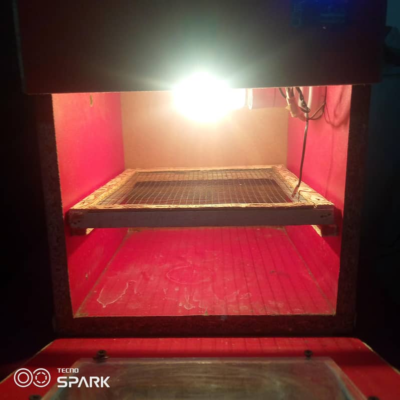 incubator machine for eggs 3