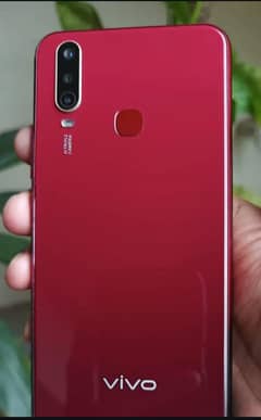 VIvo
