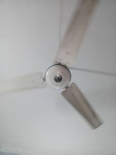 ceiling