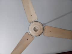 ceiling fan
