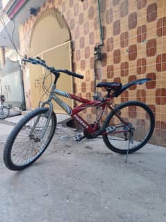 Phoenix Classic sport cycle for Sale