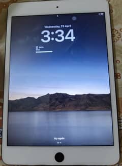 iPad mini 5 condition 10by7 panel change