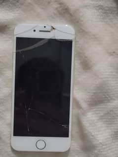 iPhone 7 64 GB non pta
